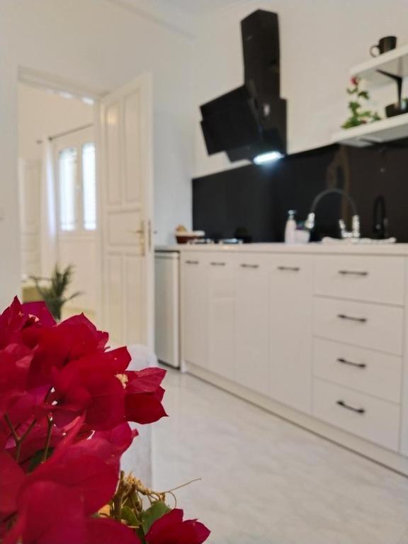 Apartment Alegria